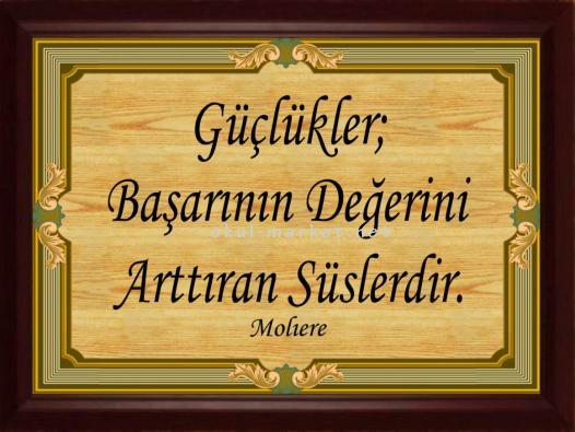 Koridor Tabloları Motivasyon Serisi Başarı ve Motivasyon Sözleri 