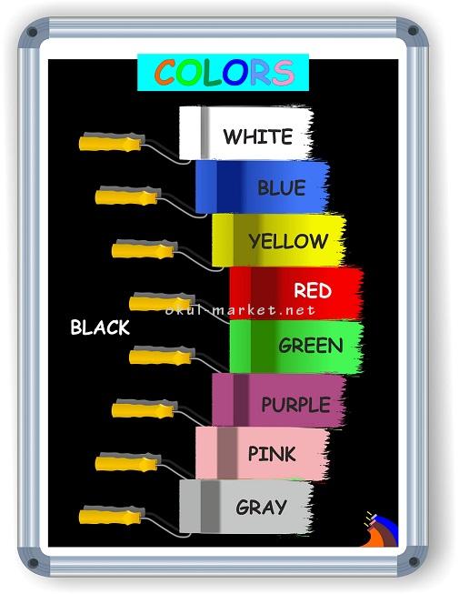 Eğitim Posterleri İngilizce Panolar COLORS 